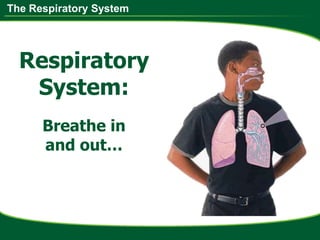 The Respiratory System
Respiratory
System:
Breathe in
and out…
 