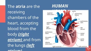 Science 9_Q1_Week2_Circulatory System.pptx