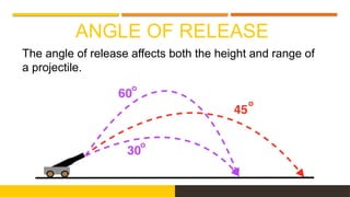ANGLE OF RELEASE
The angle of release affects both the height and range of
a projectile.
 