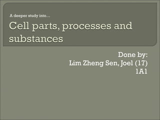 Done by: Lim Zheng Sen, Joel (17) 1A1 A deeper study into… 