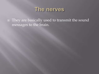 The nervesThey are basically used to transmit the sound messages to the brain. 