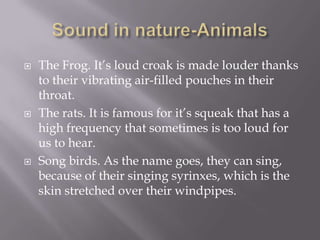 Sound in nature-AnimalsThe Frog. It’s loud croak is made louder thanks to their vibrating air-filled pouches in their throat.The rats. It is famous for it’s squeak that has a high frequency that sometimes is too loud for us to hear.Song birds. As the name goes, they can sing, because of their singing syrinxes, which is the skin stretched over their windpipes.