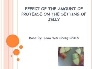 EFFECT OF THE AMOUNT OF PROTEASE ON THE SETTING OF JELLY Done By: Leow Wei Sheng 2P315 