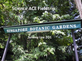 Science ACE Fieldtrip




       Jeremy Lee 2O1
 