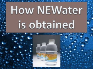 How NEWater is obtained 
