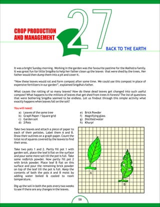 CROP PRODUCTION
AND MANAGEMENT
                                          27                                 BACK TO THE EARTH


It was a bright Sunday morning. Working in the garden was the favourite pastime for the Malhotra family.
It was great fun for little Snigdha to help her father clean up the leaves that were shed by the trees. Her
father would then dump them into a pit and cover it.

“Now these leaves would rot and form compost after some time. We could use this compost in place of
expensive fertilizers in our garden”, explained Snigdha's father.

What causes the rotting of so many leaves? How do these dead leaves get changed into such useful
compost? What happens to the millions of leaves that get shed from trees in forests? The list of questions
that were bothering Snigdha seemed to be endless. Let us findout through this simple activity what
exactly happens when leaves fall on the soil?

You will need:
   a)   Leaves of the same tree                      e)   Brick Powder
   b)   Graph Paper / Square grid                    f)   Magnifying glass
   c)   Garden soil                                  g)   Distilled water
   d)   2 Pots                                       h)   Khurpi

Take two leaves and attach a piece of paper to
each of their petioles. Label them A and B.
Draw their outlines on a graph paper. Count the
total no of squares covered by the leaves to find
their area.

Take two pots 1 and 2. Partly fill pot 1 with
garden soil, place the leaf A flat on the surface
and pour some more soil till the pot is full. Take
some redbrick powder. Now partly fill pot 2
with brick powder. Place leaf B flat on this
surface and pour the remaining brick powder
on top of the leaf till the pot is full. Keep the
contents of both the pots A and B moist by                   A
adding water boiled & cooled to room
temperature.
                                                                                        B
Dig up the soil in both the pots every two weeks
to see if there are any changes in the leaves.


                                                     58
 