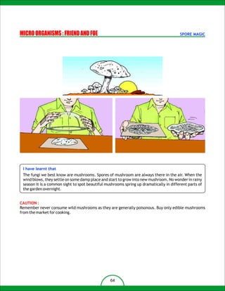 MICRO ORGANISMS : FRIEND AND FOE                                                        SPORE MAGIC




 I have learnt that
 The fungi we best know are mushrooms. Spores of mushroom are always there in the air. When the
 wind blows, they settle on some damp place and start to grow into new mushroom. No wonder in rainy
 season it is a common sight to spot beautiful mushrooms spring up dramatically in different parts of
 the garden overnight.


CAUTION :
Remember never consume wild mushrooms as they are generally poisonous. Buy only edible mushrooms
from the market for cooking.




                                                 64
 