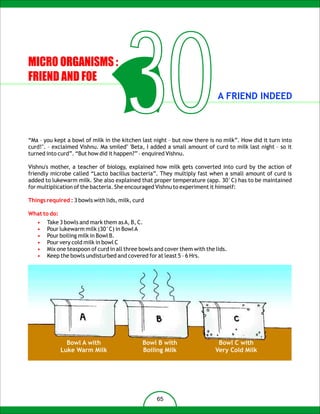MICRO ORGANISMS :
FRIEND AND FOE

                                       30                                   A FRIEND INDEED



“Ma – you kept a bowl of milk in the kitchen last night – but now there is no milk”. How did it turn into
curd!". – exclaimed Vishnu. Ma smiled" 'Beta, I added a small amount of curd to milk last night – so it
turned into curd”. “But how did it happen?” – enquired Vishnu.

Vishnu's mother, a teacher of biology, explained how milk gets converted into curd by the action of
friendly microbe called “Lacto bacillus bacteria”. They multiply fast when a small amount of curd is
added to lukewarm milk. She also explained that proper temperature (app. 30°C) has to be maintained
for multiplication of the bacteria. She encouraged Vishnu to experiment it himself:

Things required : 3 bowls with lids, milk, curd

What to do:
   •   Take 3 bowls and mark them as A, B, C.
   •   Pour lukewarm milk (30°C) in Bowl A
   •   Pour boiling milk in Bowl B.
   •   Pour very cold milk in bowl C
   •   Mix one teaspoon of curd in all three bowls and cover them with the lids.
   •   Keep the bowls undisturbed and covered for at least 5 – 6 Hrs.




                Bowl A with                   Bowl B with                   Bowl C with
              Luke Warm Milk                  Boiling Milk                 Very Cold Milk




                                                   65
 