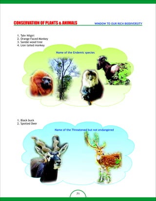 CONSERVATION OF PLANTS & ANIMALS                     WINDOW TO OUR RICH BIODIVERSITY



 1. Tahr Nilgiri
 2. Orange Faced Monkey
 3. Sandal wood tree
 4. Lion tailed monkey

                          Name of the Endemic species




 1. Black buck
 2. Spotted Deer

                          Name of the Threatened but not endangered




                                         71
 