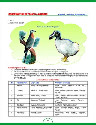 CONSERVATION OF PLANTS & ANIMALS                                  WINDOW TO OUR RICH BIODIVERSITY


1. Dodo
2. Passenger Pegeon

                                     Name of the Extinct species




Something more to do :
   1. List some of the causes that are threatening these plants and animals:
   2. What were the causes behind the extinction of Dodo or passenger pigeon.
   3. Given below is the outline map of India given the locations of the famous wild life Sanctuaries and
      national parks. Draw pointers from each of these and mention the animals protected in the boxes
      provided to you.
                                     A few national parks of India
 S.No.     National Park     City/State                      Animals Conserved
   1.      Kanha             Mandla, Madhya Pradesh          Tiger, Chital, Sambar, Black Buck,
                                                             Barasingha
   2.      Corbett           Nainital, Uttarakhand           Tiger, Panther, Elephant, Deer, Antelope,
                                                             Python
   3.      Simlipal          Mayurbhanj, Orissa              Tiger, Leopard, Sambar, Bison, Elephant,
                                                             Chital, Wild Boar.
   4.      Gir               Junagarh, Gujarat               Lion, Panther, Hyena, Chinkara,
                                                             Crocodile
   5.      Bandipur          Mysore, Karnataka               Elephant, Tiger, Jackal, Gaur
   6.      Ranthambore       Sawai-Madhopur, Rajasthan       Tiger, Panther, Hyena, Nilgai, Green
                                                             Pigeon
   7.      Kaziranga         Jorhat, Assam                   Rhinoceros, Wild Buffalo, Elephant,
                                                             Tiger


                                                   72
 