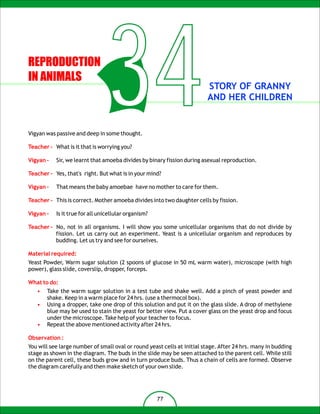 REPRODUCTION
IN ANIMALS

                                 34
Vigyan was passive and deep in some thought.

Teacher – What is it that is worrying you?

Vigyan –
                                                                         STORY OF GRANNY
                                                                         AND HER CHILDREN




           Sir, we learnt that amoeba divides by binary fission during asexual reproduction.

Teacher – Yes, that's right. But what is in your mind?

Vigyan –   That means the baby amoebae have no mother to care for them.

Teacher – This is correct. Mother amoeba divides into two daughter cells by fission.

Vigyan –   Is it true for all unicellular organism?

Teacher – No, not in all organisms. I will show you some unicellular organisms that do not divide by
          fission. Let us carry out an experiment. Yeast is a unicellular organism and reproduces by
          budding. Let us try and see for ourselves.

Material required:
Yeast Powder, Warm sugar solution (2 spoons of glucose in 50 mL warm water), microscope (with high
power), glass slide, coverslip, dropper, forceps.

What to do:
   •   Take the warm sugar solution in a test tube and shake well. Add a pinch of yeast powder and
       shake. Keep in a warm place for 24 hrs. (use a thermocol box).
   •   Using a dropper, take one drop of this solution and put it on the glass slide. A drop of methylene
       blue may be used to stain the yeast for better view. Put a cover glass on the yeast drop and focus
       under the microscope. Take help of your teacher to focus.
   •   Repeat the above mentioned activity after 24 hrs.

Observation :
You will see large number of small oval or round yeast cells at initial stage. After 24 hrs. many in budding
stage as shown in the diagram. The buds in the slide may be seen attached to the parent cell. While still
on the parent cell, these buds grow and in turn produce buds. Thus a chain of cells are formed. Observe
the diagram carefully and then make sketch of your own slide.




                                                      77
 