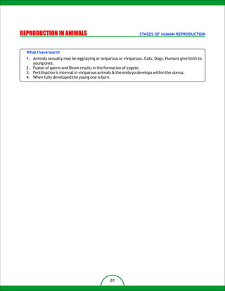 REPRODUCTION IN ANIMALS                                          STAGES OF HUMAN REPRODUCTION



  What I have learnt
  1. Animals sexually may be egg laying or oviparous or viviparous, Cats, Dogs, Humans give birth to
     young ones.
  2. Fusion of sperm and Ovum results in the formation of zygote.
  3. Fertilisation is internal in viviparous animals & the embryo develops within the uterus.
  4. When fully developed the young one is born.




                                                81
 