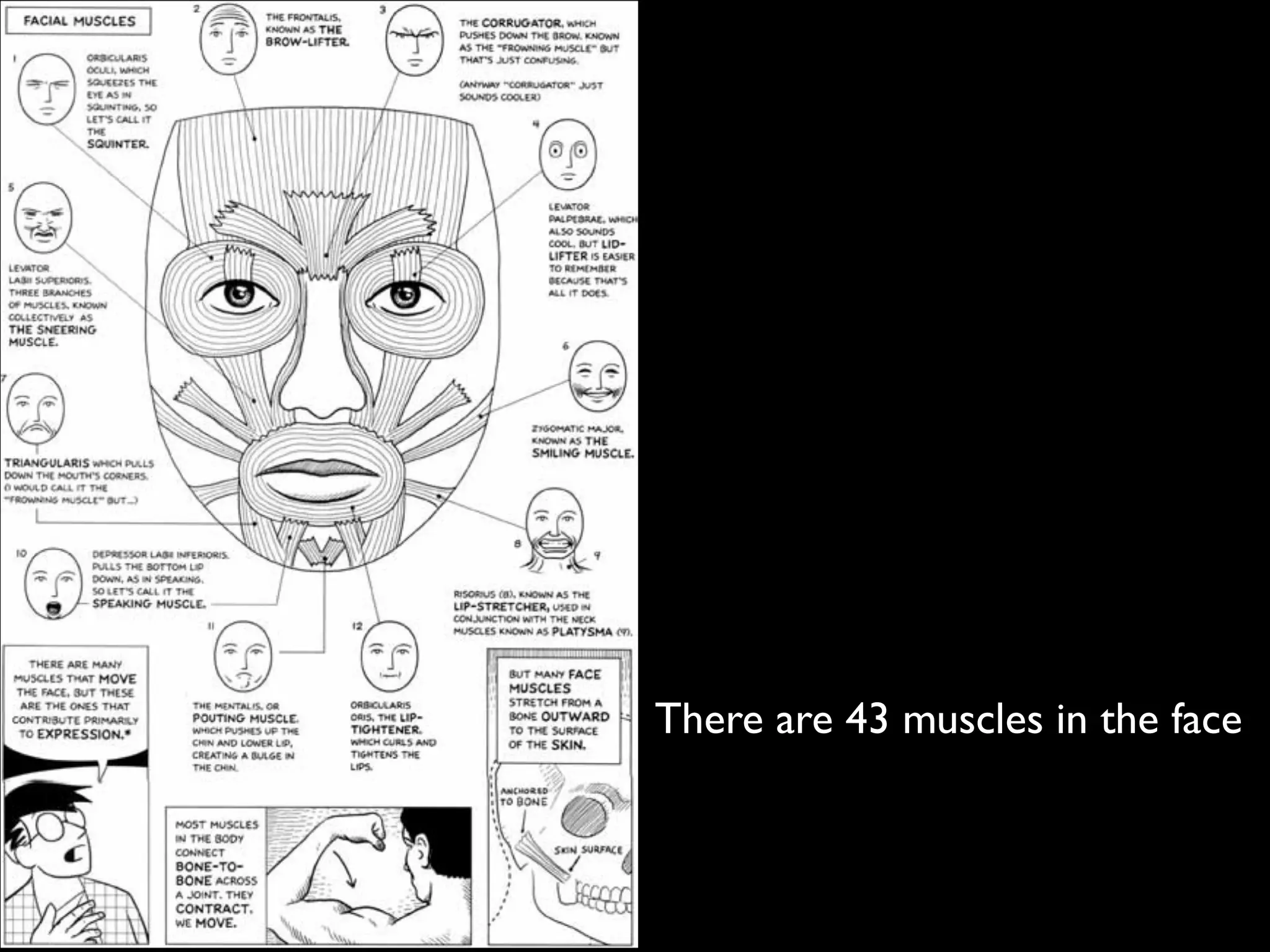 There are 43 muscles in the face
 