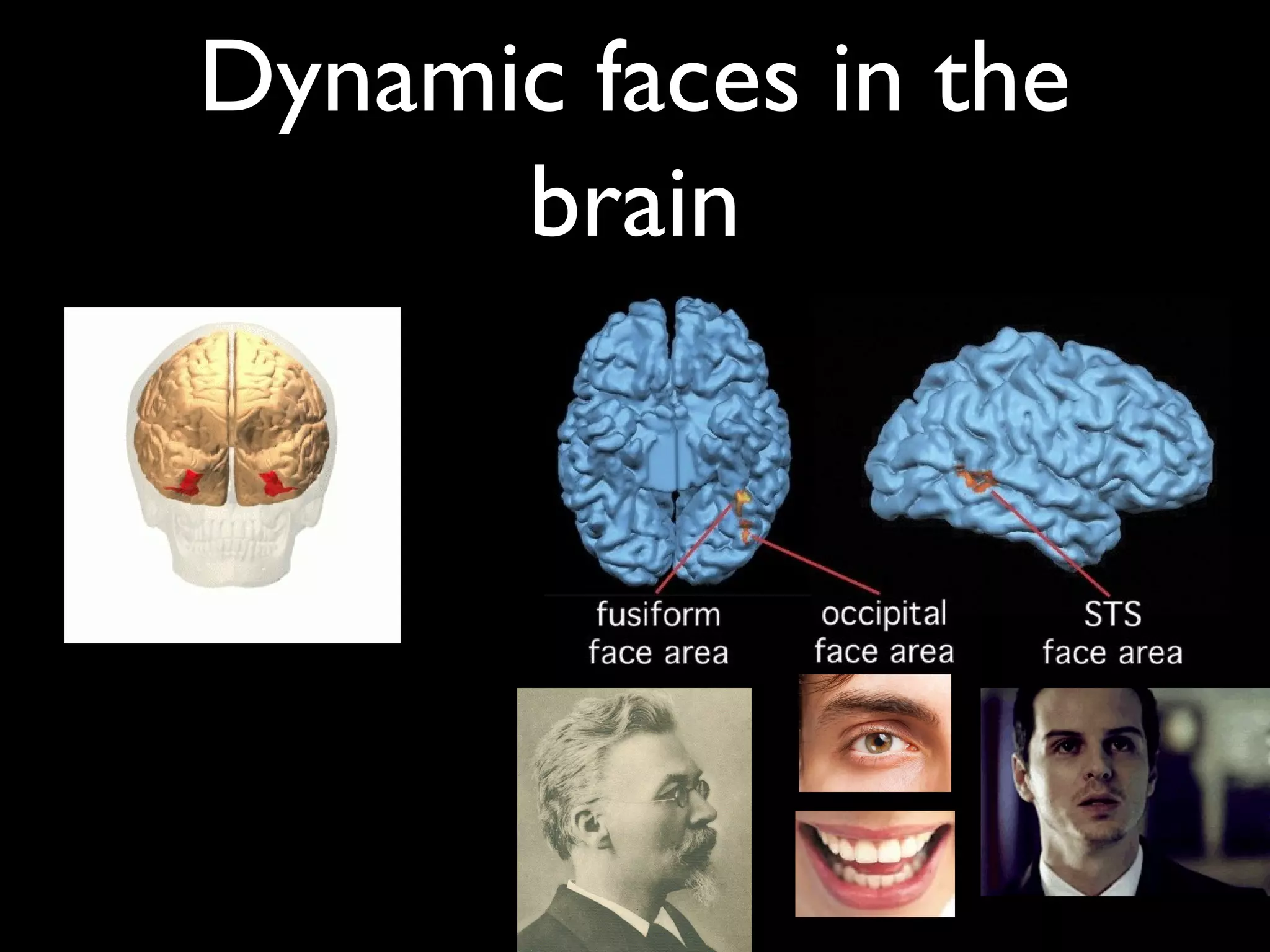 Dynamic faces in the
brain
 