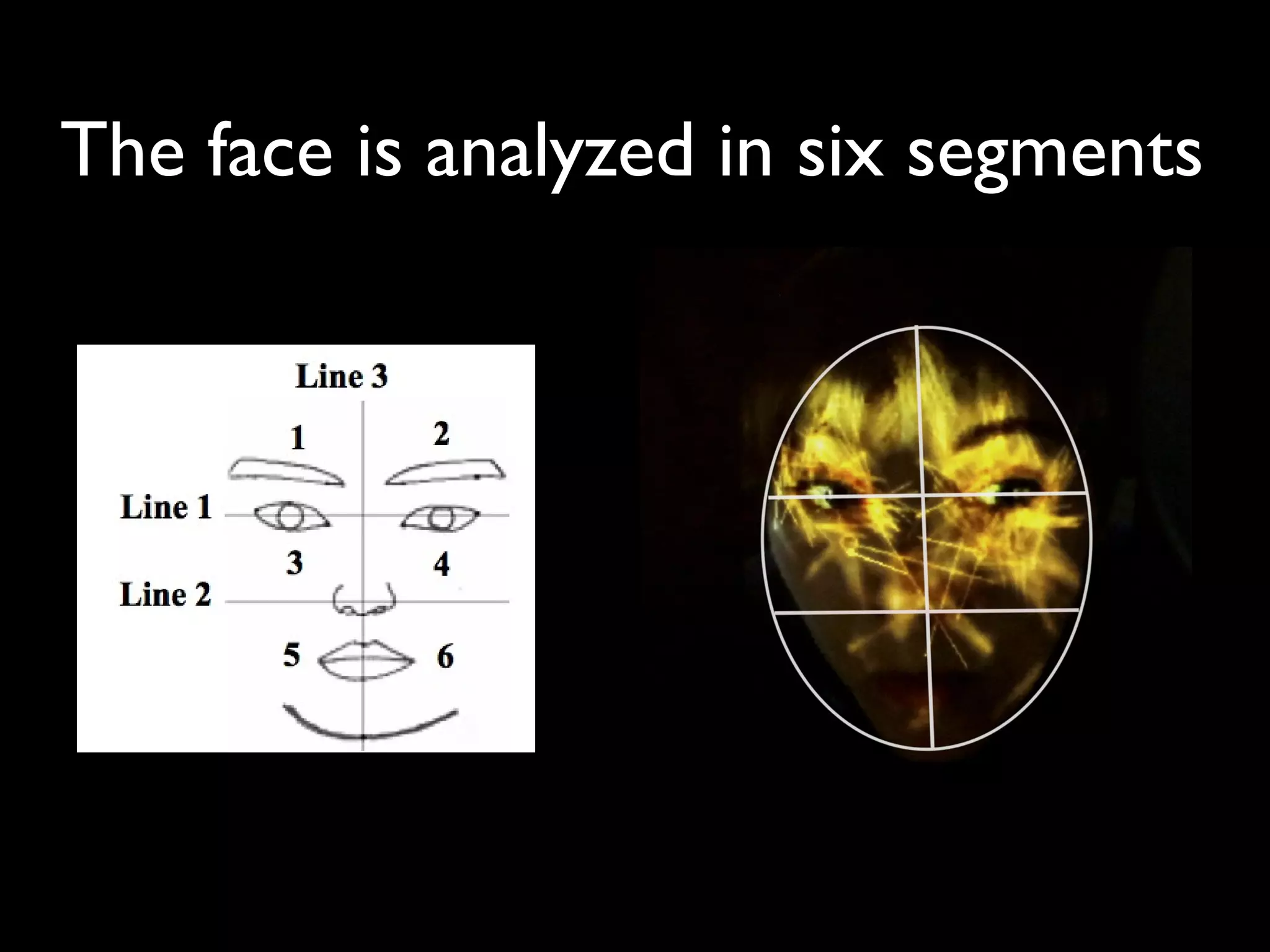 The face is analyzed in six segments
 