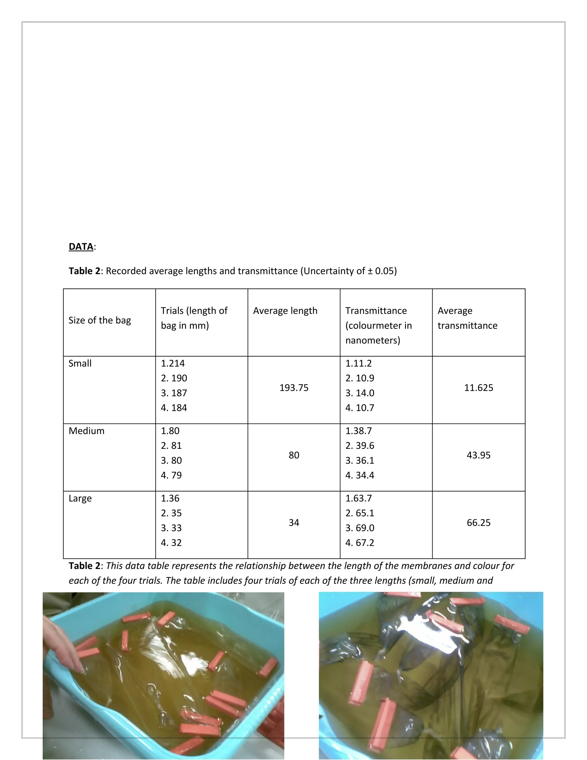 DATA:

Table 2: Recorded average lengths and transmittance (Uncertainty of ± 0.05)


                     Trials (length of    Average length       Transmittance         Average
Size of the bag      bag in mm)                                (colourmeter in       transmittance
                                                               nanometers)

Small                1.214                                     1.11.2
                     2. 190                                    2. 10.9
                                                193.75                                     11.625
                     3. 187                                    3. 14.0
                     4. 184                                    4. 10.7

Medium               1.80                                      1.38.7
                     2. 81                                     2. 39.6
                                                  80                                        43.95
                     3. 80                                     3. 36.1
                     4. 79                                     4. 34.4

Large                1.36                                      1.63.7
                     2. 35                                     2. 65.1
                                                  34                                        66.25
                     3. 33                                     3. 69.0
                     4. 32                                     4. 67.2

Table 2: This data table represents the relationship between the length of the membranes and colour for
each of the four trials. The table includes four trials of each of the three lengths (small, medium and
 