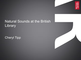Natural Sounds at the British 
Library 
Cheryl Tipp 
 