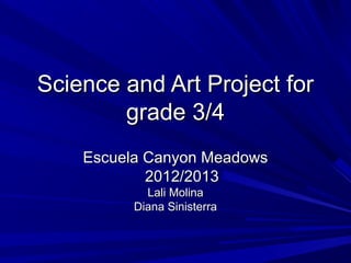 Science and Art Project for
        grade 3/4
    Escuela Canyon Meadows
            2012/2013
            Lali Molina
          Diana Sinisterra
 