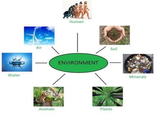 Science and environment | PPT