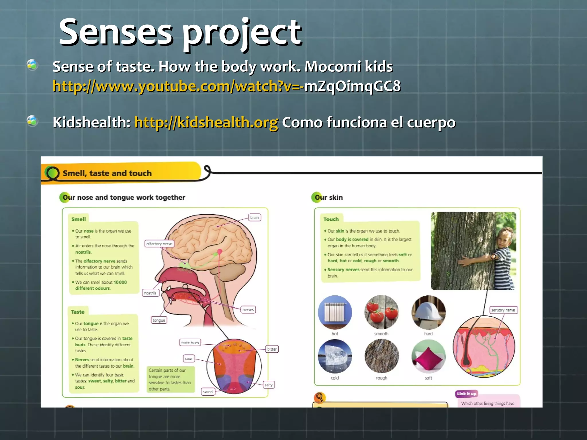 Senses projectSenses project
Sense of taste. How the body work. Mocomi kidsSense of taste. How the body work. Mocomi kids
http://www.youtube.com/watch?v=-http://www.youtube.com/watch?v=-mZqOimqGC8mZqOimqGC8
Kidshealth:Kidshealth: http://kidshealth.orghttp://kidshealth.org Como funciona el cuerpoComo funciona el cuerpo
 