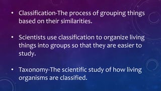 Science and Its Classification | PPTX
