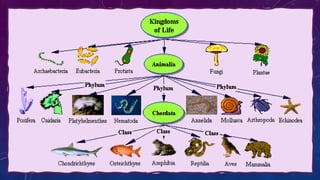 Science and Its Classification | PPTX