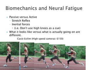  Passive versus Active
◦ Stretch Reflex
◦ Inertial forces
 (i.e. Don’t use high knees as a cue)
 What it looks like versus what is actually going on are
different.
Casio Exilim (High speed cameras-$150)
 