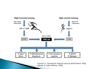 Laursen, P. Training for Intense exercise performance: High
volume or high intensity. 2009
 