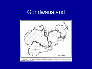 Gondwanaland
 