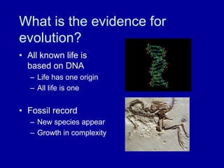 What is the evidence for
evolution?
• All known life is
based on DNA
– Life has one origin
– All life is one
• Fossil record
– New species appear
– Growth in complexity
 