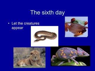 The sixth day
• Let the creatures
  appear
 