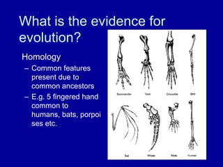 What is the evidence for
evolution?
Homology
– Common features
  present due to
  common ancestors
– E.g. 5 fingered hand
  common to
  humans, bats, porpoi
  ses etc.
 