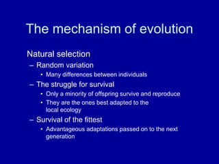 The mechanism of evolution
Natural selection
– Random variation
   • Many differences between individuals
– The struggle for survival
   • Only a minority of offspring survive and reproduce
   • They are the ones best adapted to the
     local ecology
– Survival of the fittest
   • Advantageous adaptations passed on to the next
     generation
 