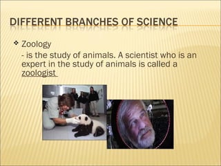  Zoology
- is the study of animals. A scientist who is an
expert in the study of animals is called a
zoologist
 