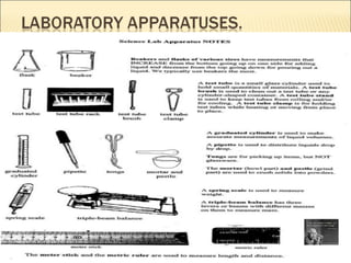 Science and technology a
