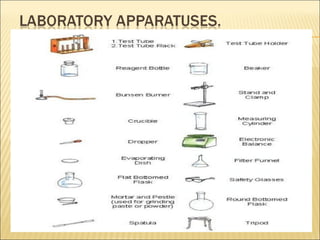Science and technology a