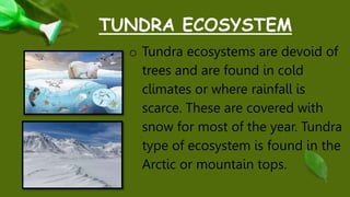 TUNDRA ECOSYSTEM
o Tundra ecosystems are devoid of
trees and are found in cold
climates or where rainfall is
scarce. These are covered with
snow for most of the year. Tundra
type of ecosystem is found in the
Arctic or mountain tops.
 