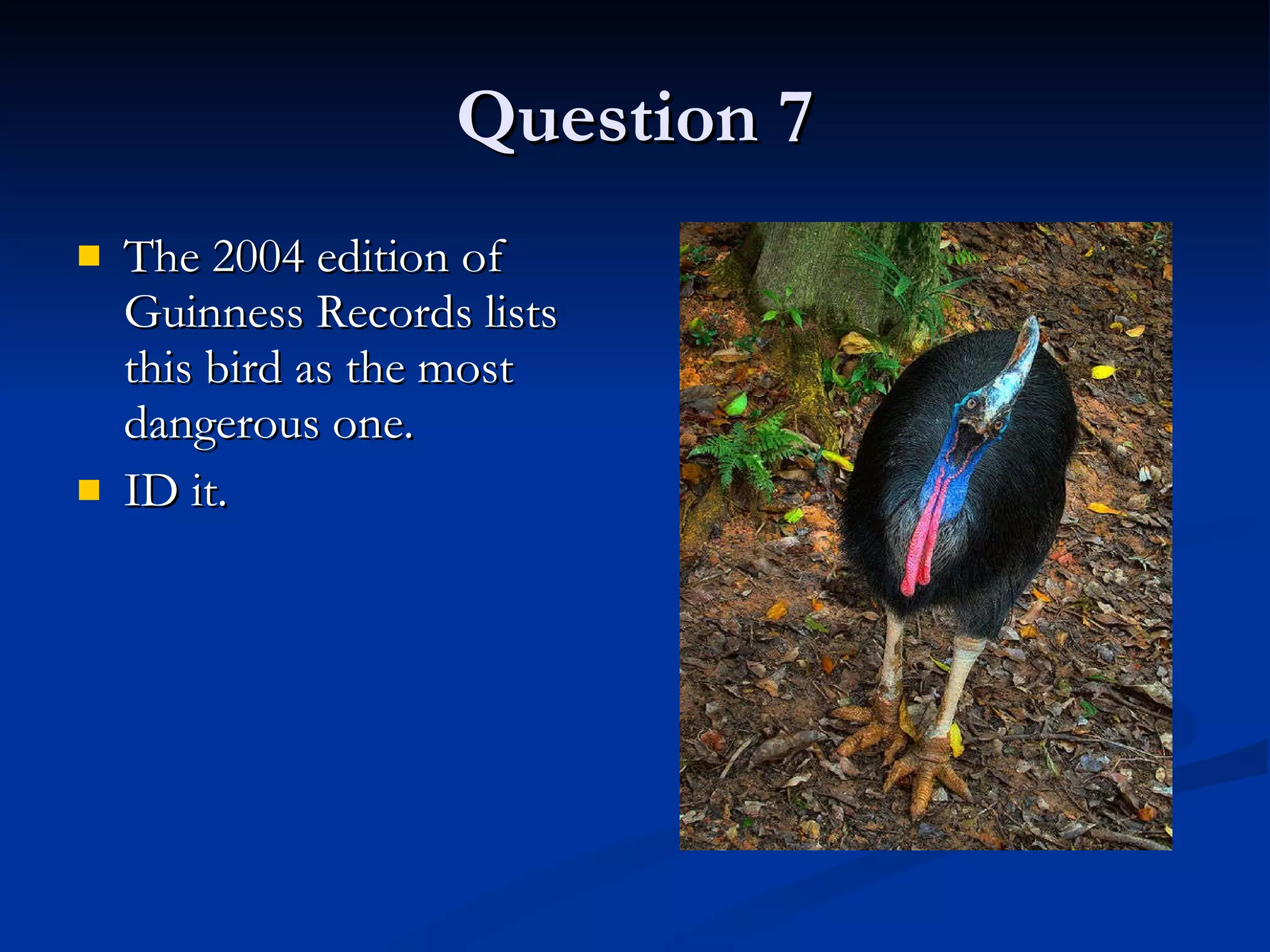 Question 7 The 2004 edition of Guinness Records lists this bird as the most dangerous one.  ID it. 