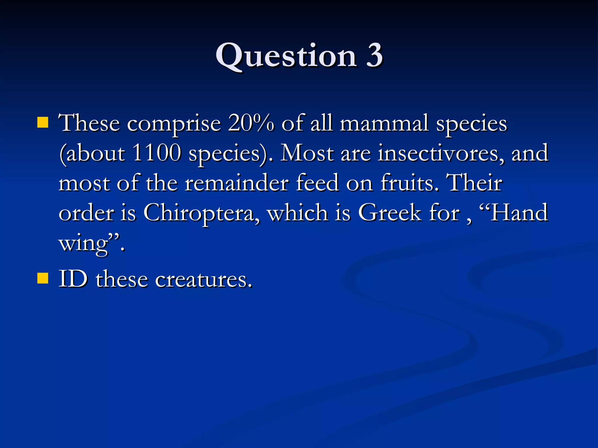 Question 3 These comprise 20% of all mammal species (about 1100 species). Most are insectivores, and most of the remainder feed on fruits. Their order is Chiroptera, which is Greek for , “Hand wing”. ID these creatures. 