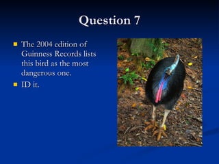 Question 7 The 2004 edition of Guinness Records lists this bird as the most dangerous one.  ID it. 