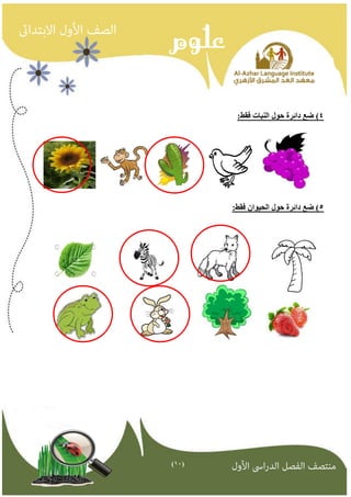 )11( 
4( ضع دائرة حىل اننباث فقط: 
5( ضع دائرة حىل انحيىان فقط: 
 