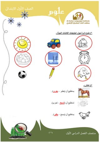 )11( 
6( ضع دائرة حىل احتياجاث انكائناث انحيت: - 
7( اختار: - 
يستطيع أن )يطيز يجري( . – 
تستطيع أن )تسبح تجزي(. – 
يستطيع أن )يسبح يطير( . – 
 