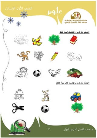 )3( 
4( ضع دائرة حىل انكائناث انحيت فقط: 
5( ضع دائرة حىل الأشياء انغير حيت فقط: 
 