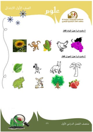 )4( 
6( ضع دائرة حىل اننباث فقط: 
7( ضع دائرة حىل انحيىان فقط: 
 