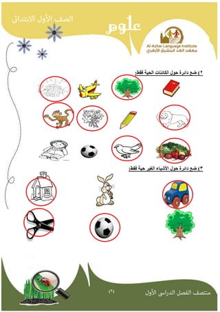 )9( 
2( ضع دائرة حىل انكائناث انحيت فقط: 
3( ضع دائرة حىل الأشياء انغير حيت فقط: 
 