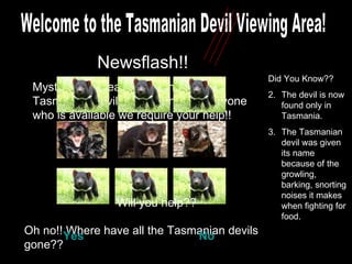 Newsflash!! Mysterious disease is wiping out the Tasmanian devil population fast!! Anyone who is available we require your help!! Welcome to the Tasmanian Devil Viewing Area! Oh no!! Where have all the Tasmanian devils gone?? Did You Know?? The devil is now found only in Tasmania.  The Tasmanian devil was given its name because of the growling, barking, snorting noises it makes when fighting for food.  Will you help?? Yes No 