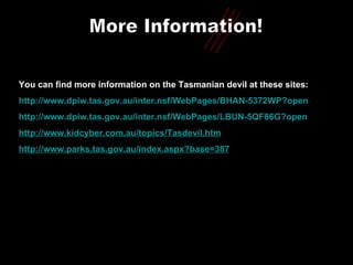 More Information! You can find more information on the Tasmanian devil at these sites: http://www.dpiw.tas.gov.au/inter.nsf/WebPages/BHAN-5372WP?open http://www.dpiw.tas.gov.au/inter.nsf/WebPages/LBUN-5QF86G?open http://www.kidcyber.com.au/topics/Tasdevil.htm http://www.parks.tas.gov.au/index.aspx?base=387 