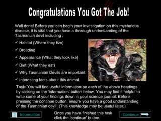 Tasmanian Devil | PPT