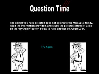 Question Time The animal you have selected does not belong to the Marsupial family. Read the information provided, and study the pictures carefully. Click on the ‘Try Again’ button below to have another go. Good Luck.  Try Again 