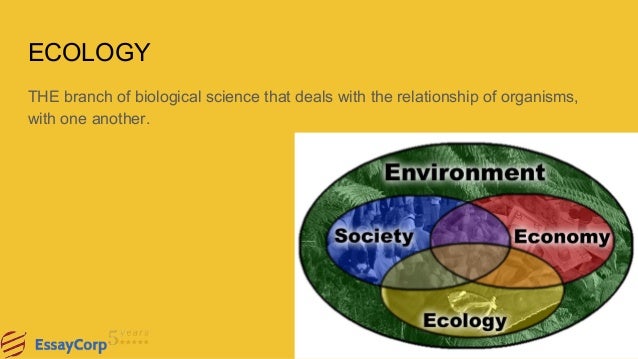 Science assignment help
